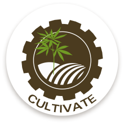 IH Series - CULTIVATE
